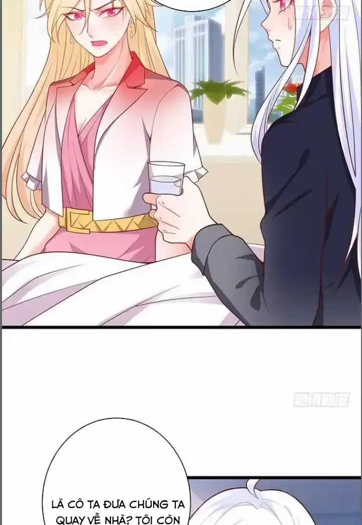 Hắc Đạo Đáng Yêu Chapter 174 trang 5