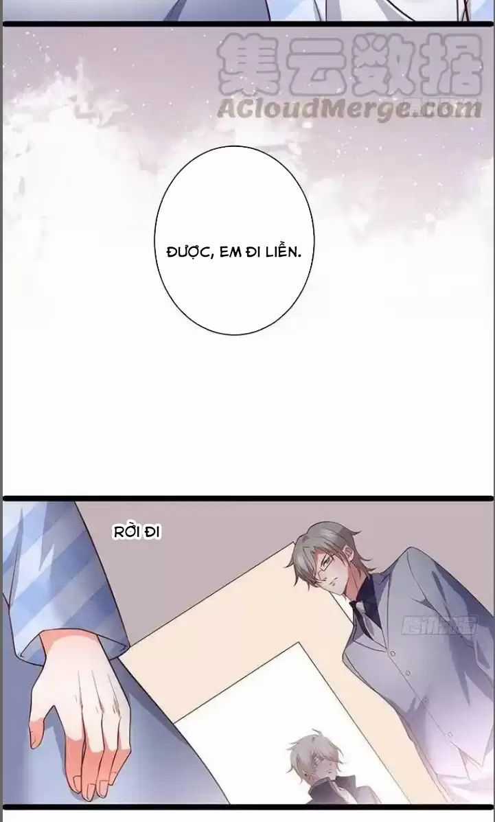 Hắc Đạo Đáng Yêu Chapter 175 trang 11