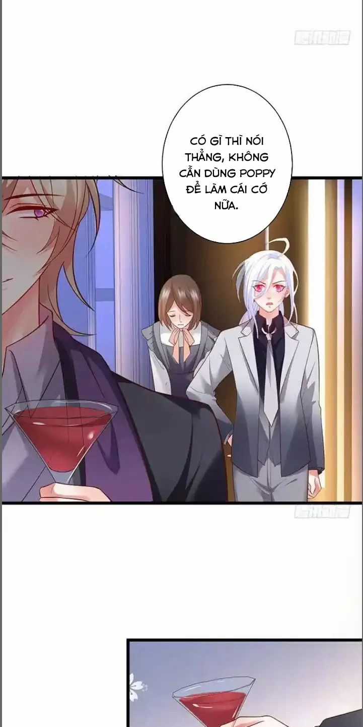 Hắc Đạo Đáng Yêu Chapter 175 trang 34