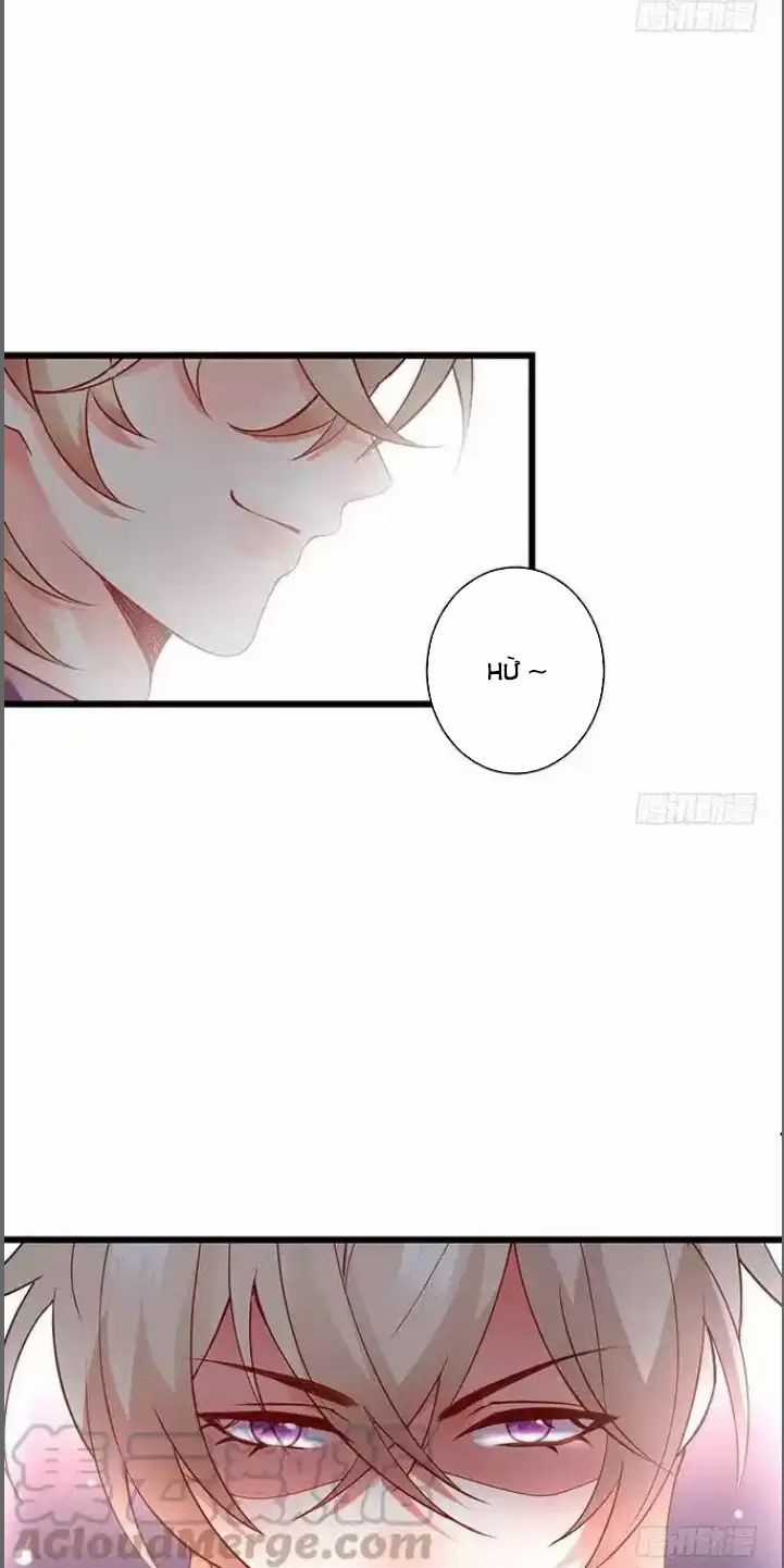 Hắc Đạo Đáng Yêu Chapter 175 trang 39