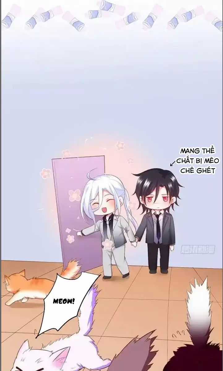 Hắc Đạo Đáng Yêu Chapter 176 trang 12