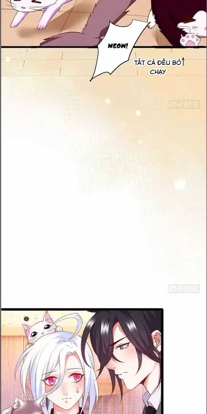 Hắc Đạo Đáng Yêu Chapter 176 trang 13