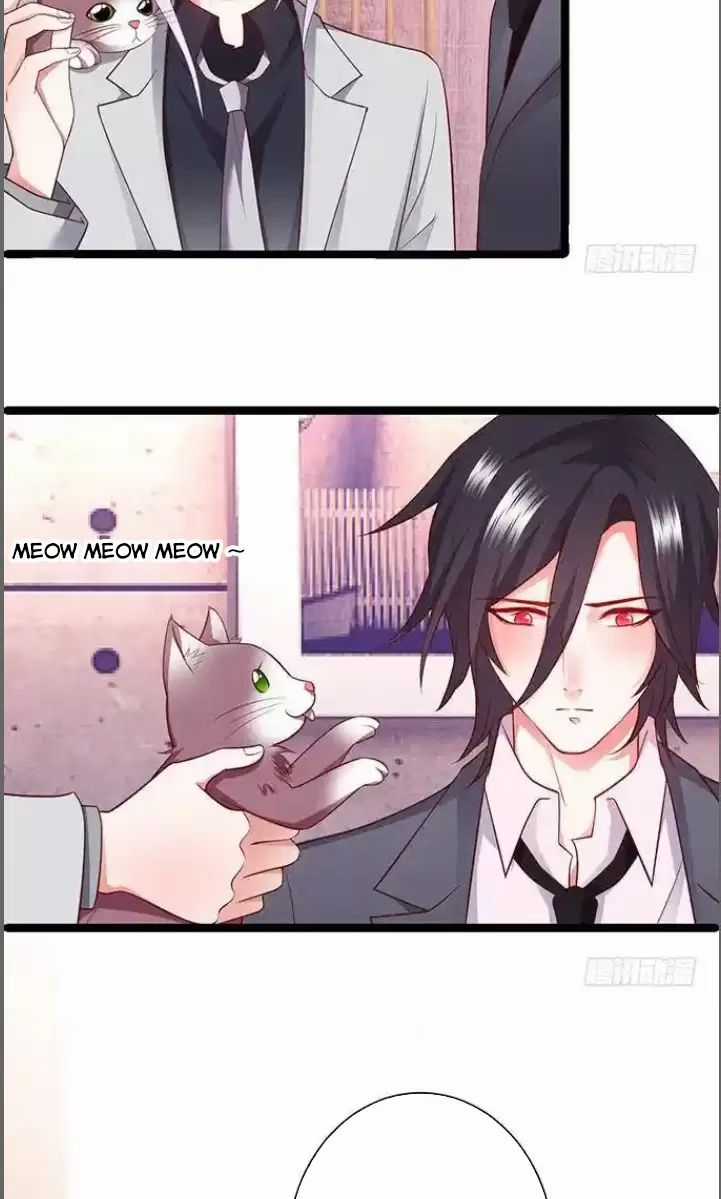 Hắc Đạo Đáng Yêu Chapter 176 trang 14