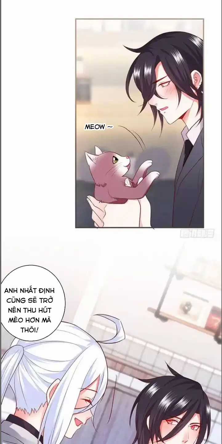 Hắc Đạo Đáng Yêu Chapter 176 trang 16