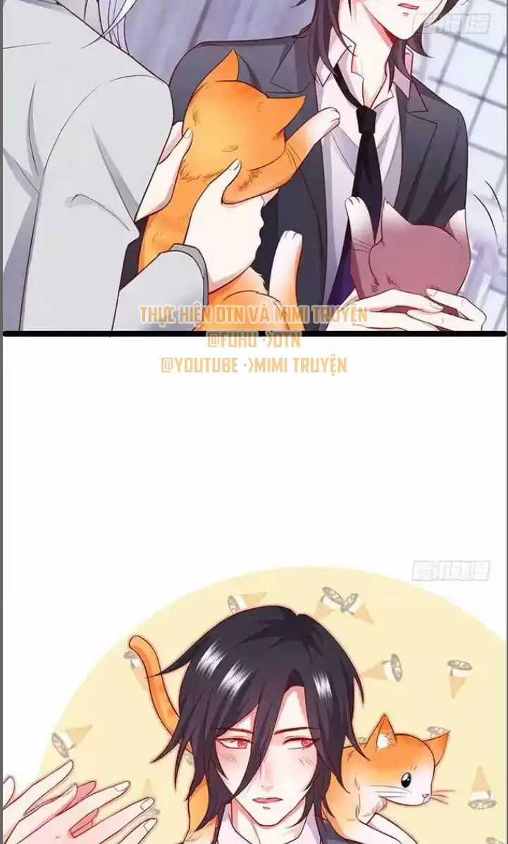 Hắc Đạo Đáng Yêu Chapter 176 trang 17