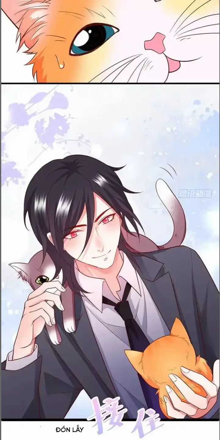 Hắc Đạo Đáng Yêu Chapter 176 trang 20