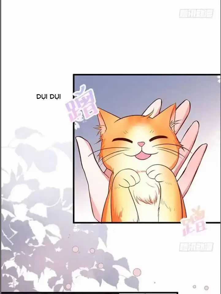 Hắc Đạo Đáng Yêu Chapter 176 trang 21