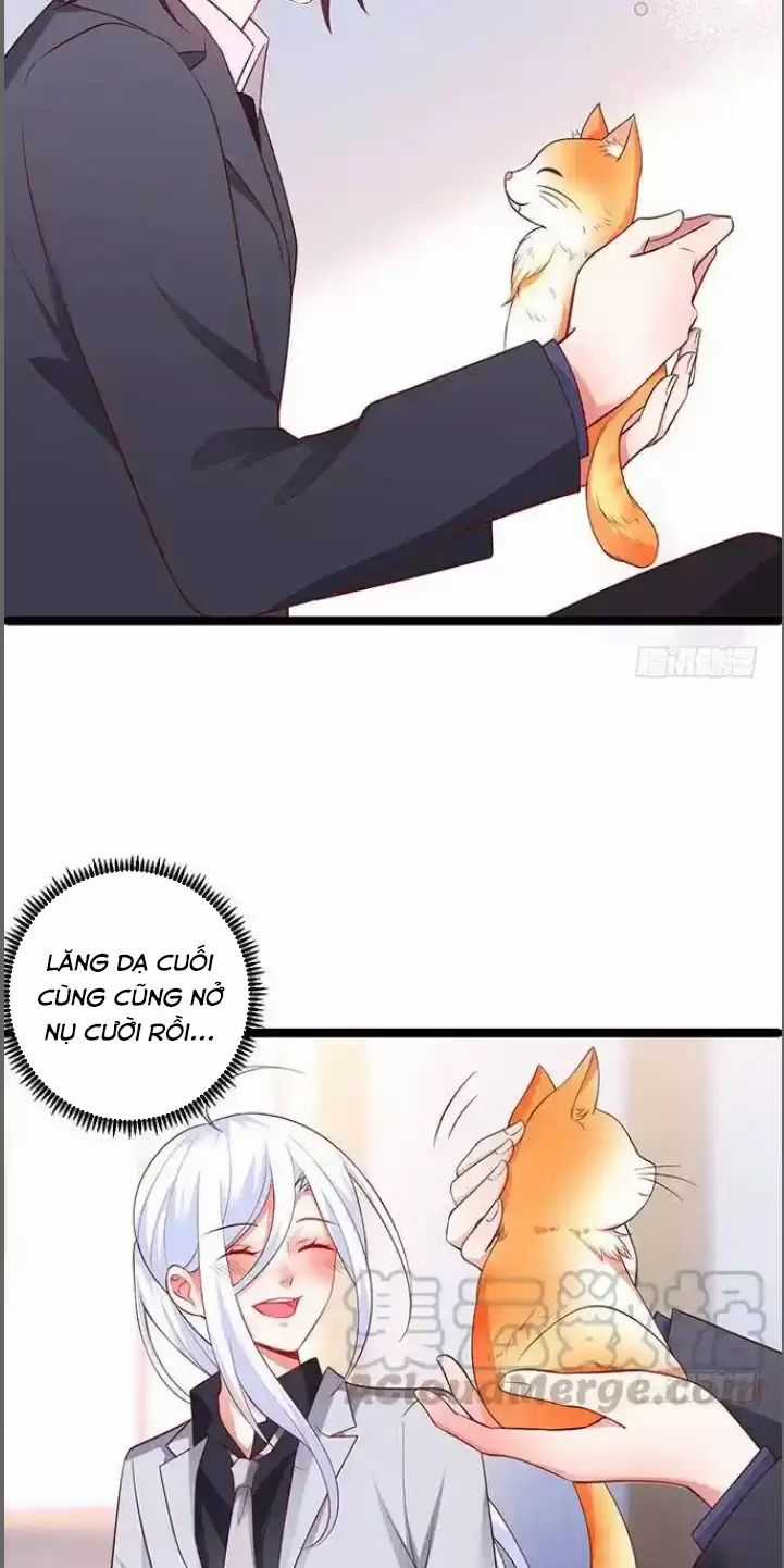 Hắc Đạo Đáng Yêu Chapter 176 trang 23