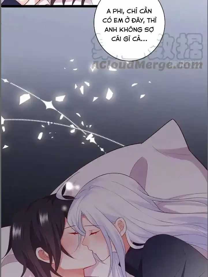 Hắc Đạo Đáng Yêu Chapter 176 trang 41