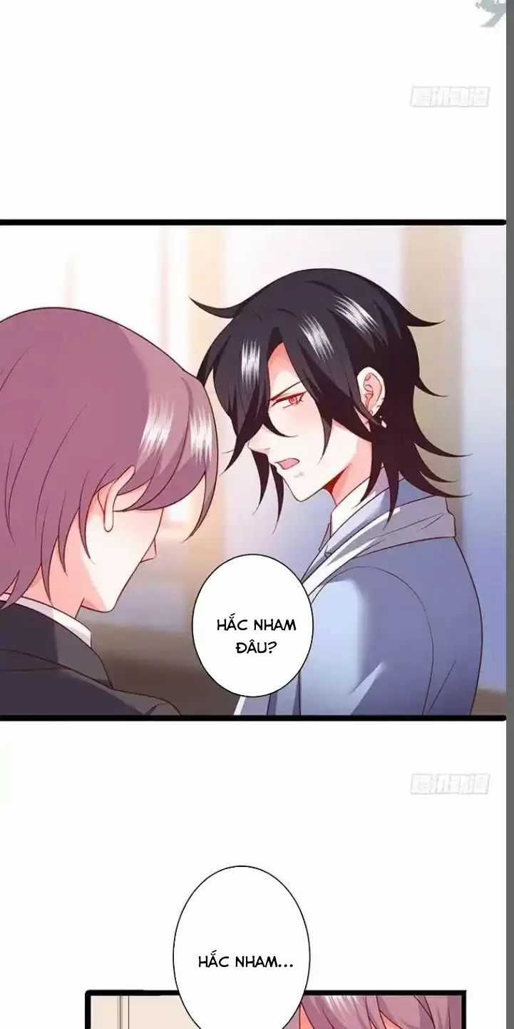 Hắc Đạo Đáng Yêu Chapter 179 trang 27