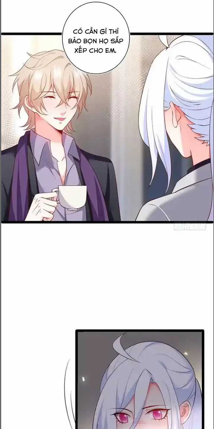 Hắc Đạo Đáng Yêu Chapter 179 trang 4