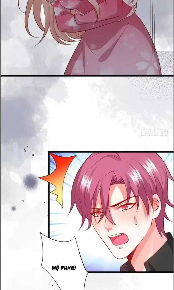 Hắc Đạo Đáng Yêu Chapter 181 trang 11