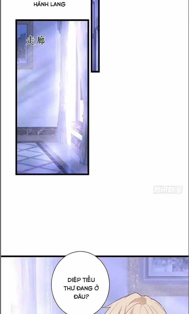 Hắc Đạo Đáng Yêu Chapter 181 trang 14