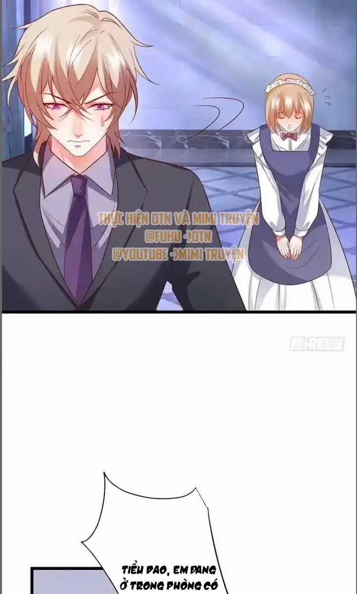 Hắc Đạo Đáng Yêu Chapter 181 trang 17