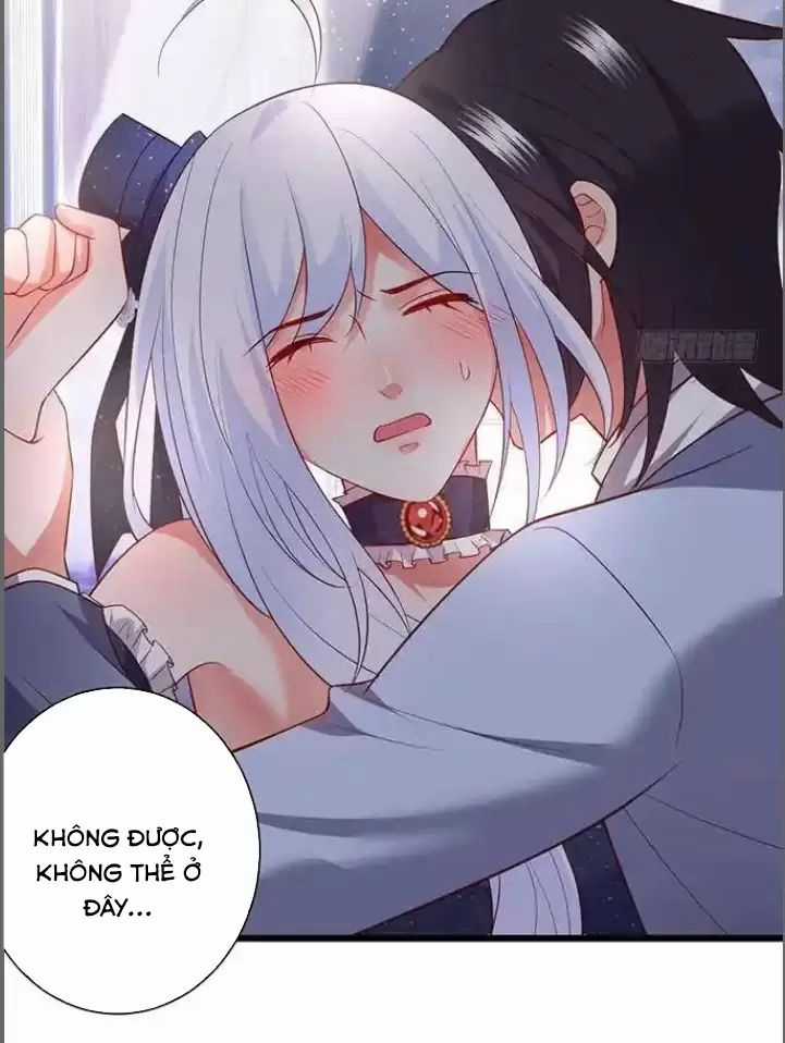 Hắc Đạo Đáng Yêu Chapter 181 trang 34