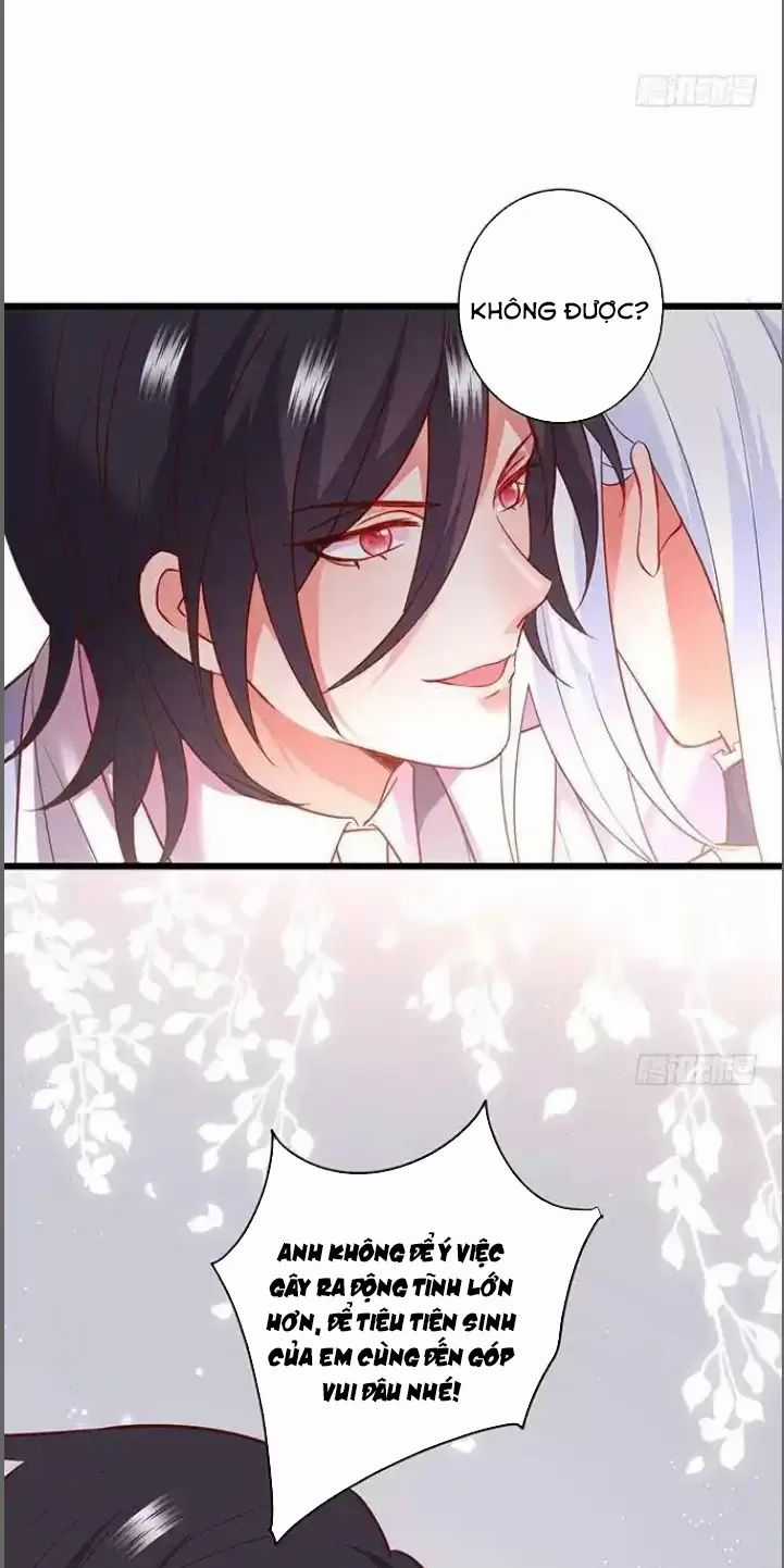 Hắc Đạo Đáng Yêu Chapter 181 trang 35