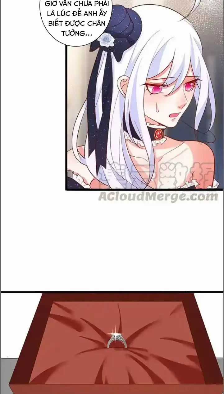 Hắc Đạo Đáng Yêu Chapter 182 trang 23