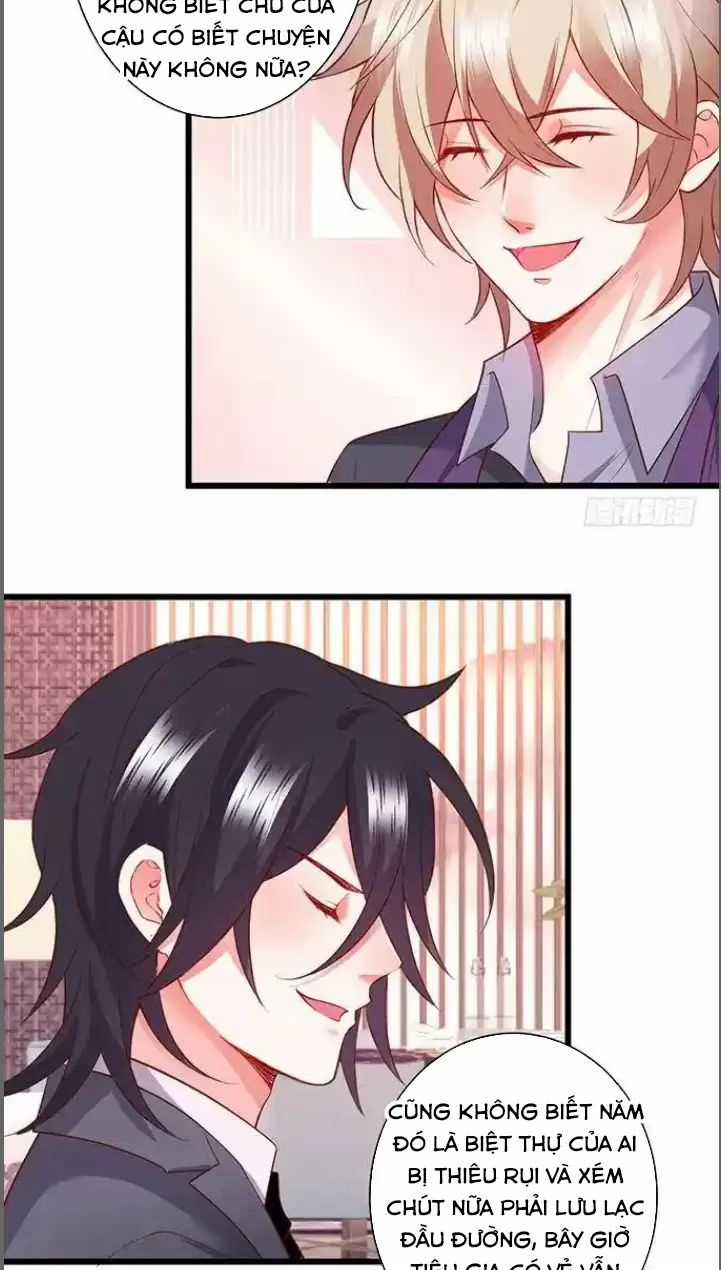 Hắc Đạo Đáng Yêu Chapter 182 trang 29