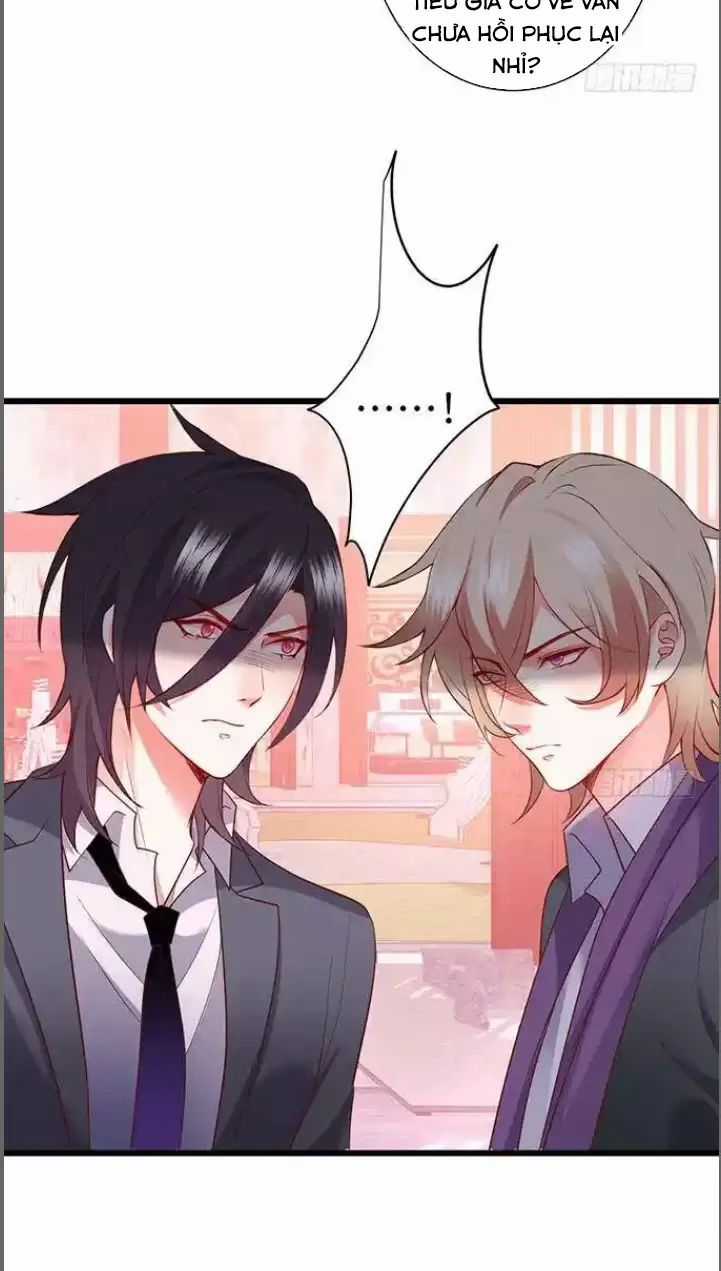 Hắc Đạo Đáng Yêu Chapter 182 trang 30