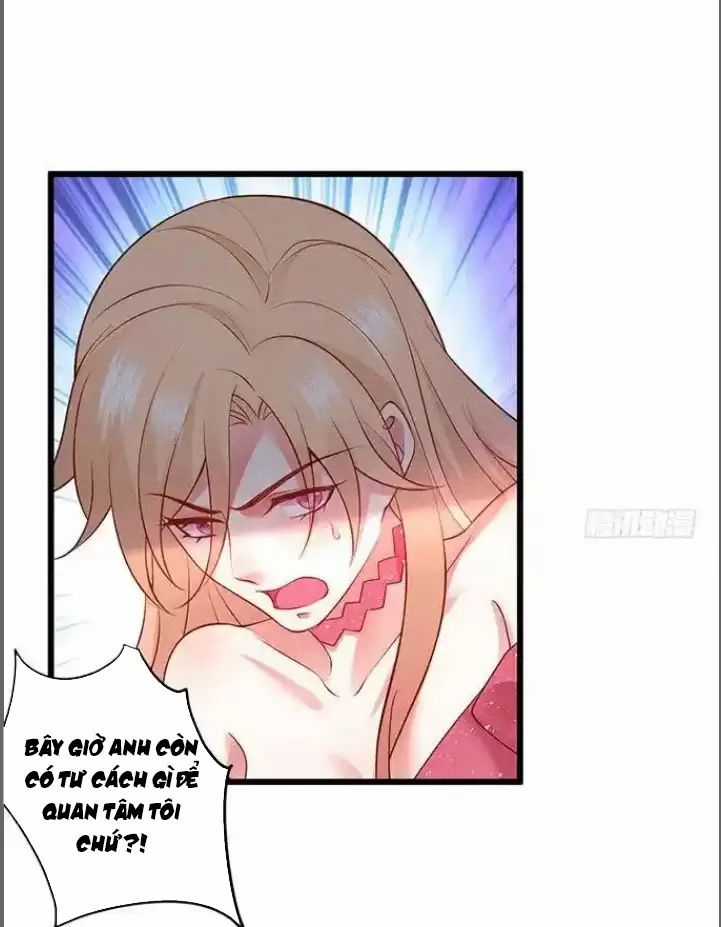 Hắc Đạo Đáng Yêu Chapter 182 trang 5