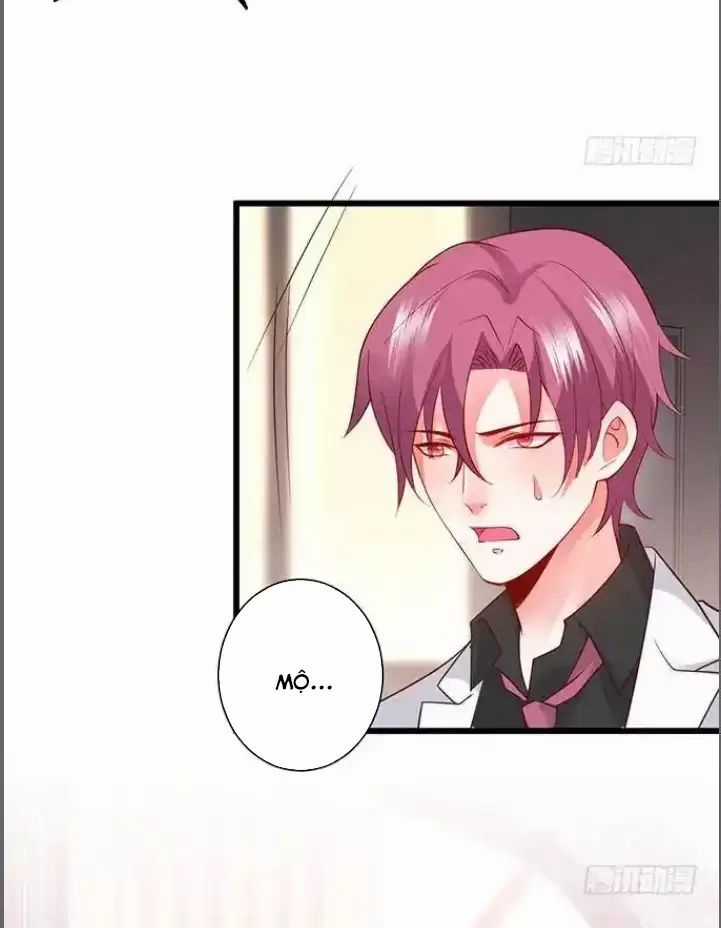 Hắc Đạo Đáng Yêu Chapter 182 trang 6