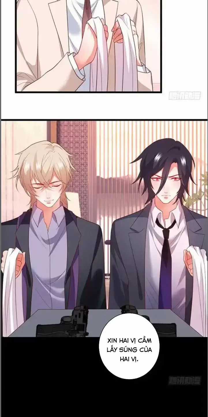 Hắc Đạo Đáng Yêu Chapter 183 trang 16