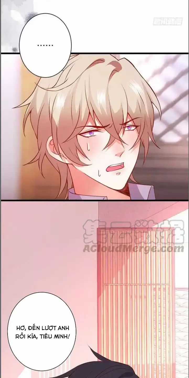 Hắc Đạo Đáng Yêu Chapter 183 trang 31