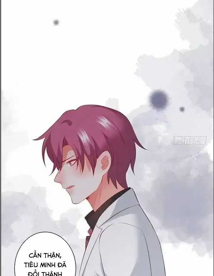 Hắc Đạo Đáng Yêu Chapter 184 trang 14