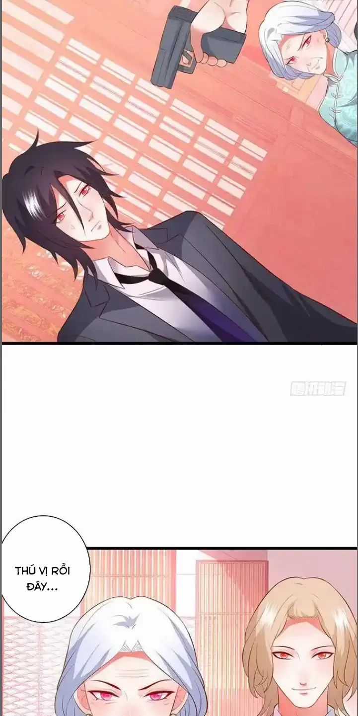 Hắc Đạo Đáng Yêu Chapter 184 trang 4