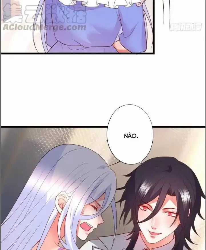 Hắc Đạo Đáng Yêu Chapter 209 trang 14