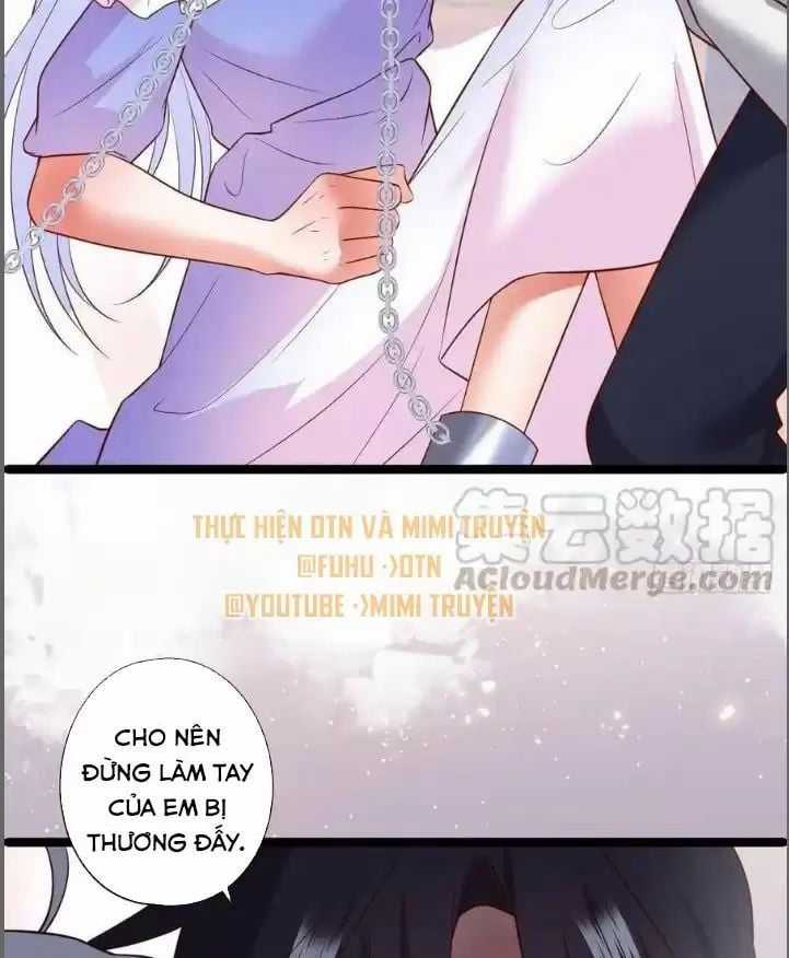 Hắc Đạo Đáng Yêu Chapter 209 trang 19