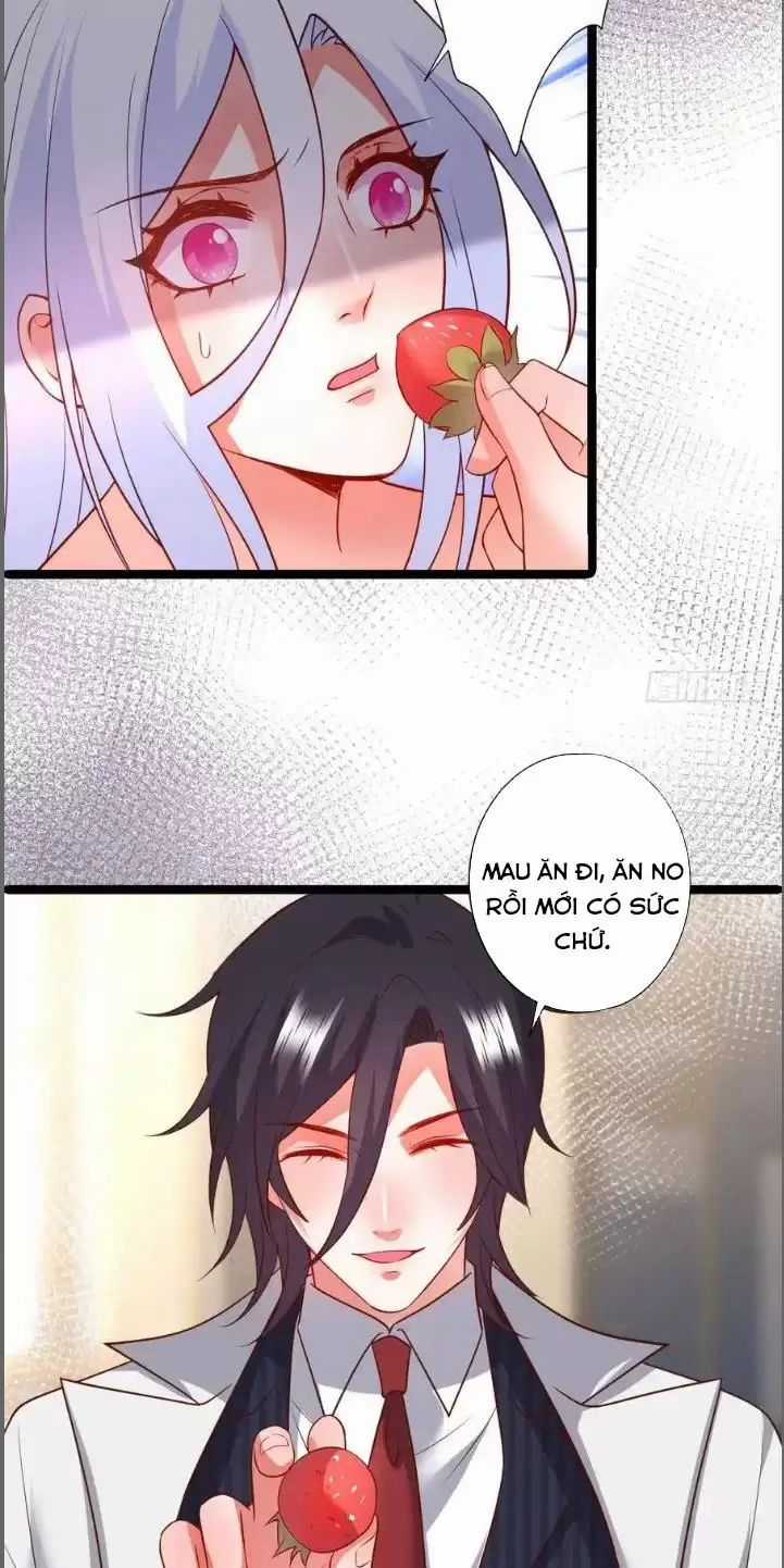 Hắc Đạo Đáng Yêu Chapter 209 trang 21