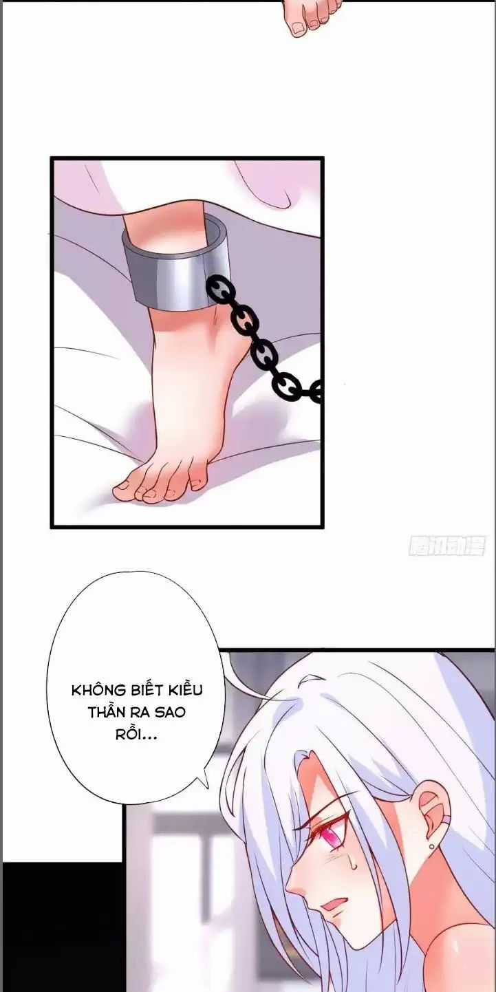 Hắc Đạo Đáng Yêu Chapter 209 trang 3