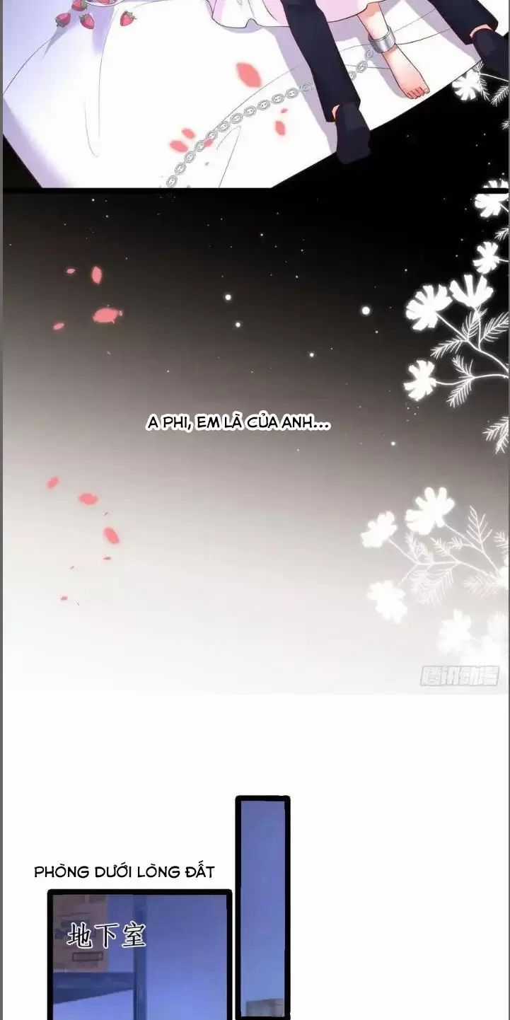 Hắc Đạo Đáng Yêu Chapter 209 trang 30