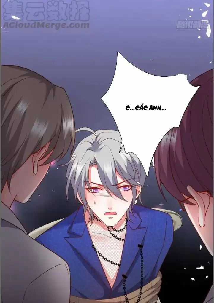 Hắc Đạo Đáng Yêu Chapter 209 trang 37