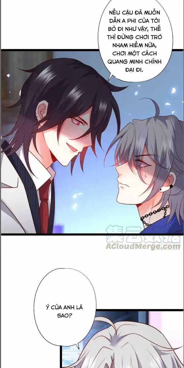 Hắc Đạo Đáng Yêu Chapter 209 trang 42