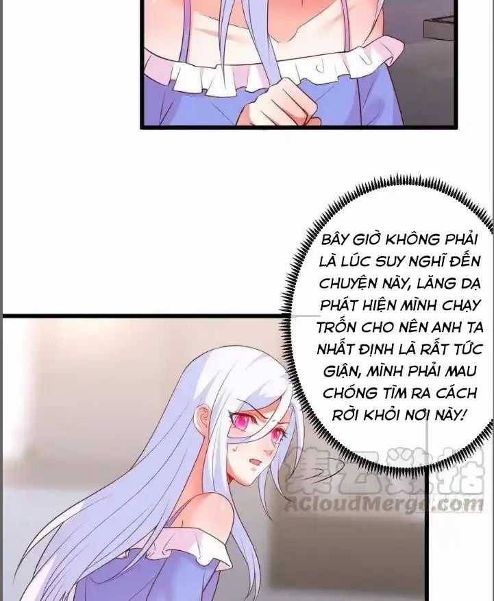 Hắc Đạo Đáng Yêu Chapter 209 trang 7