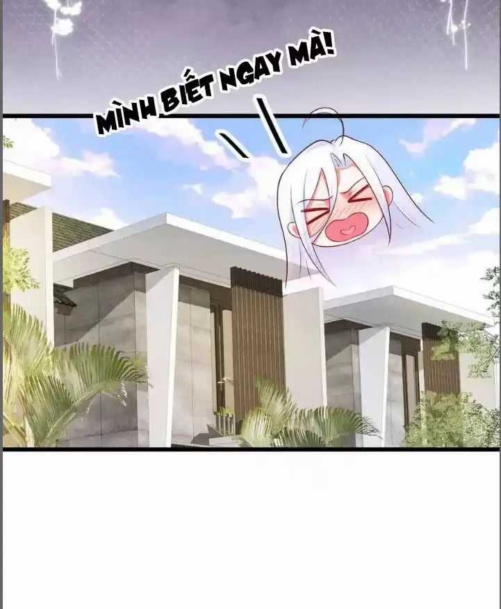 Hắc Đạo Đáng Yêu Chapter 210 trang 17