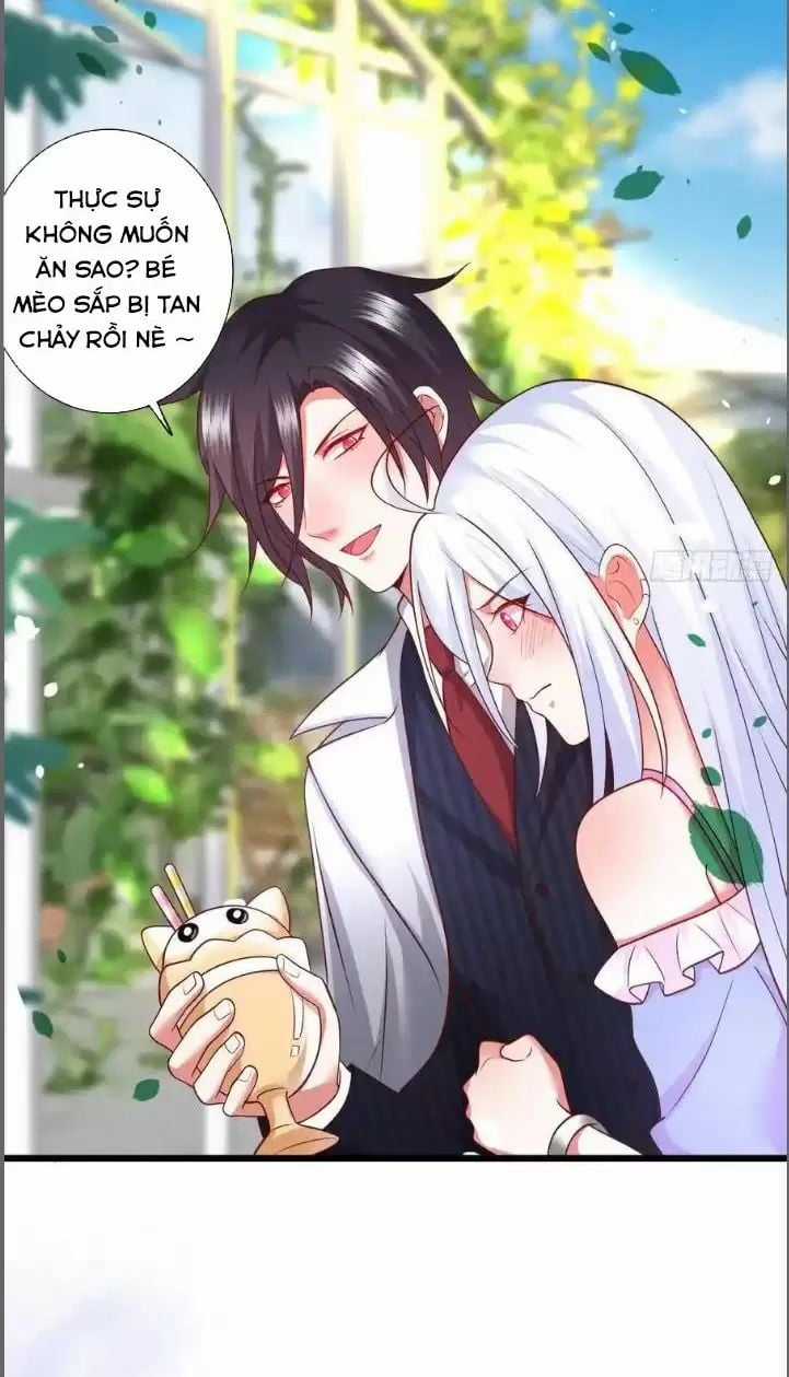 Hắc Đạo Đáng Yêu Chapter 210 trang 31