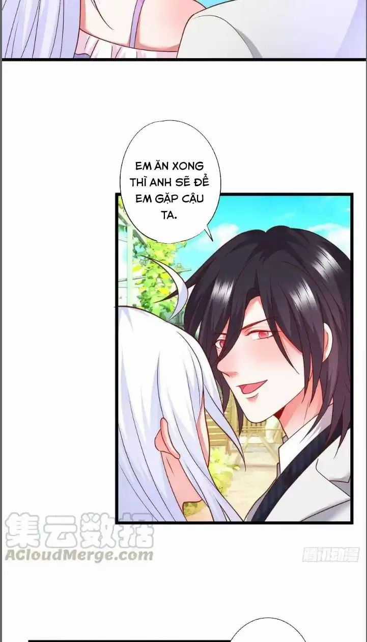 Hắc Đạo Đáng Yêu Chapter 210 trang 34