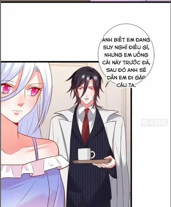 Hắc Đạo Đáng Yêu Chapter 210 trang 5