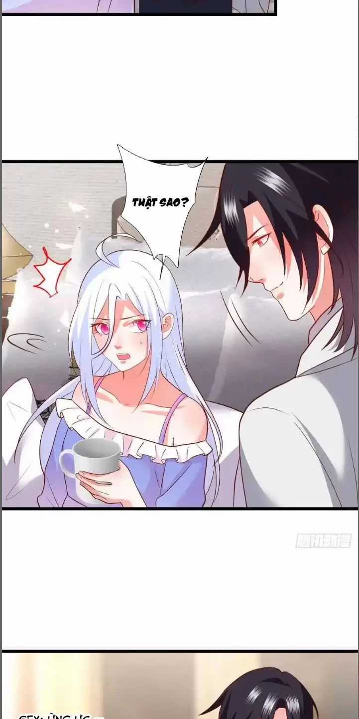 Hắc Đạo Đáng Yêu Chapter 210 trang 6