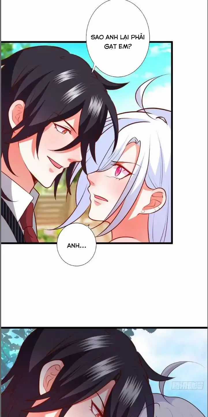 Hắc Đạo Đáng Yêu Chapter 211 trang 12