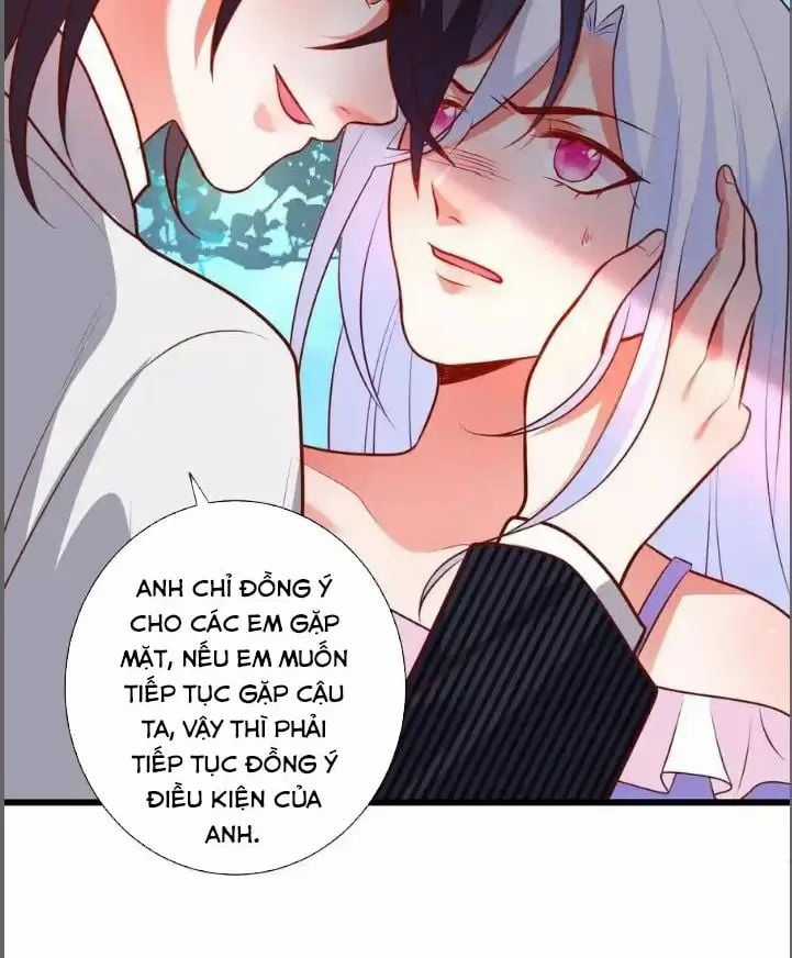 Hắc Đạo Đáng Yêu Chapter 211 trang 13