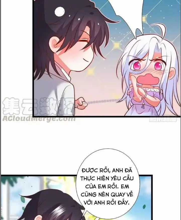 Hắc Đạo Đáng Yêu Chapter 211 trang 20