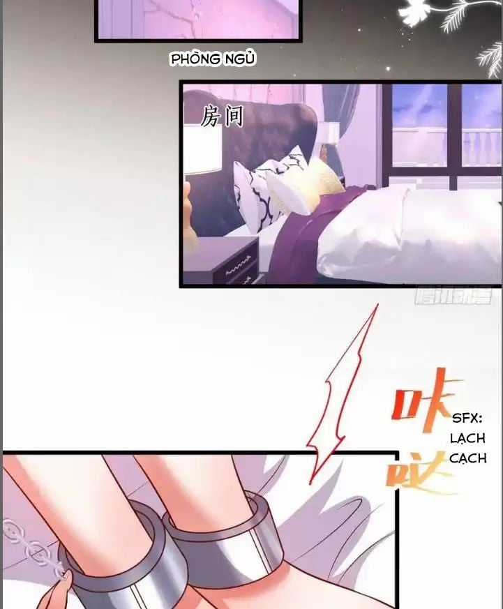 Hắc Đạo Đáng Yêu Chapter 211 trang 23