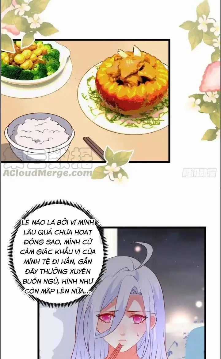 Hắc Đạo Đáng Yêu Chapter 211 trang 26