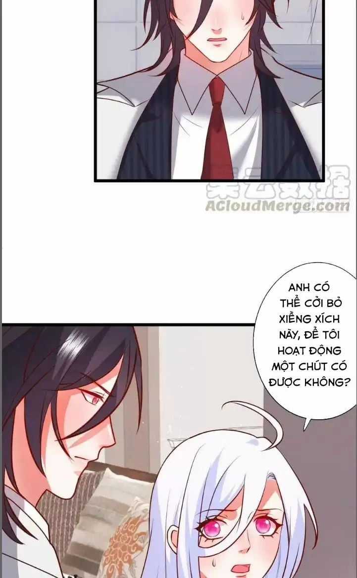 Hắc Đạo Đáng Yêu Chapter 211 trang 32