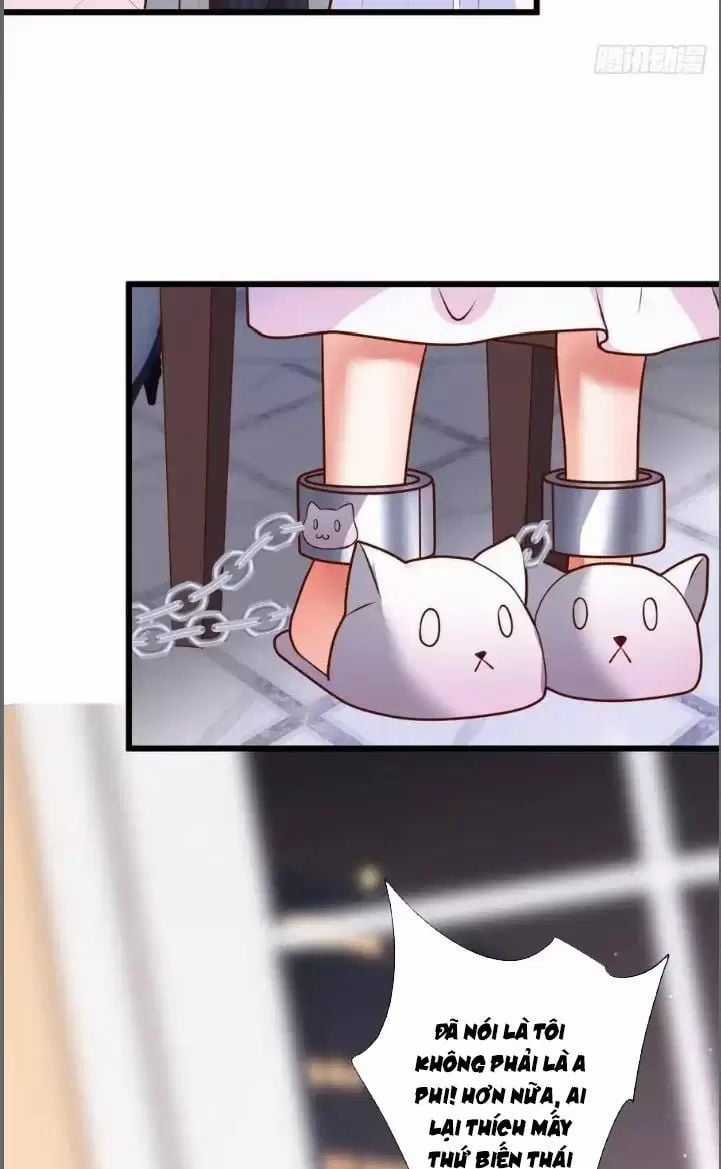 Hắc Đạo Đáng Yêu Chapter 211 trang 34