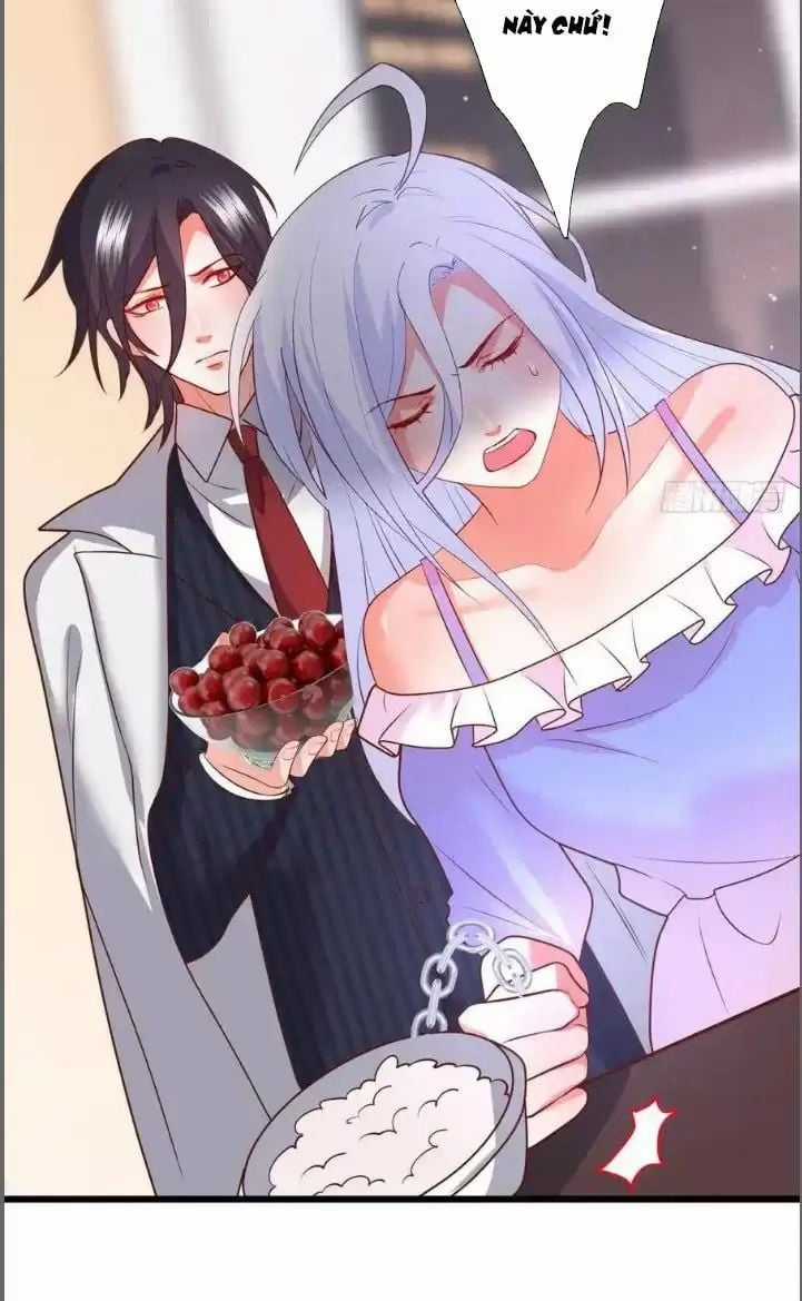 Hắc Đạo Đáng Yêu Chapter 211 trang 35